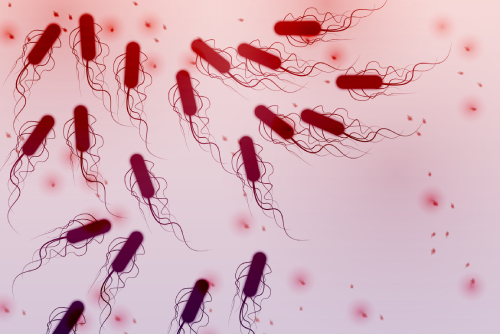 red-tinted design of a group of E. coli bacteria as if under a microscope.