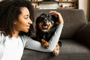 How To Entertain Your Dog Indoors During Hot Weather