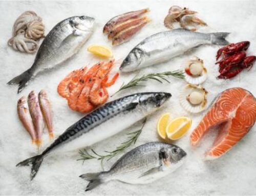 7 Benefits of Adding Seafood to Your Diet
