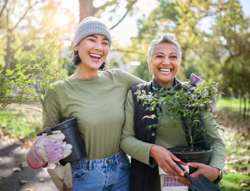 Volunteer Ideas for People Who Love Nature