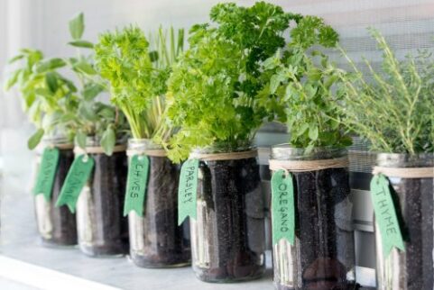 Rethink Eco-Friendly Living With These Unique Ideas