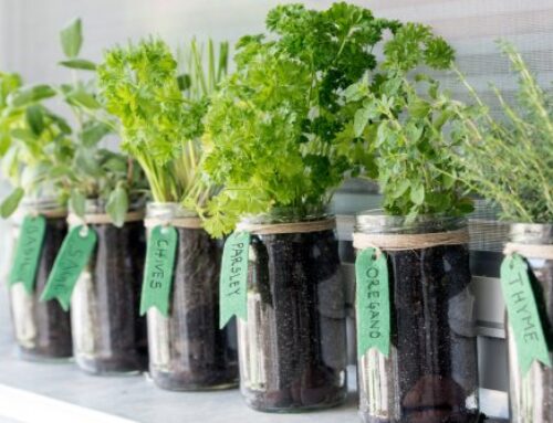 Rethink Eco-Friendly Living With These Unique Ideas