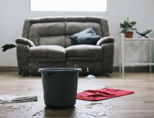 6 Steps To Take When You Notice a Roof Leak