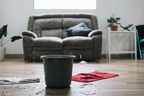 A black bucket sits in the middle of a living room floor and collects water that drips from the ceiling.