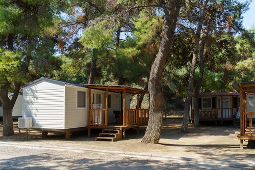 A group of mobile homes situated around tall trees with overhanging branches partially blocking the sun.